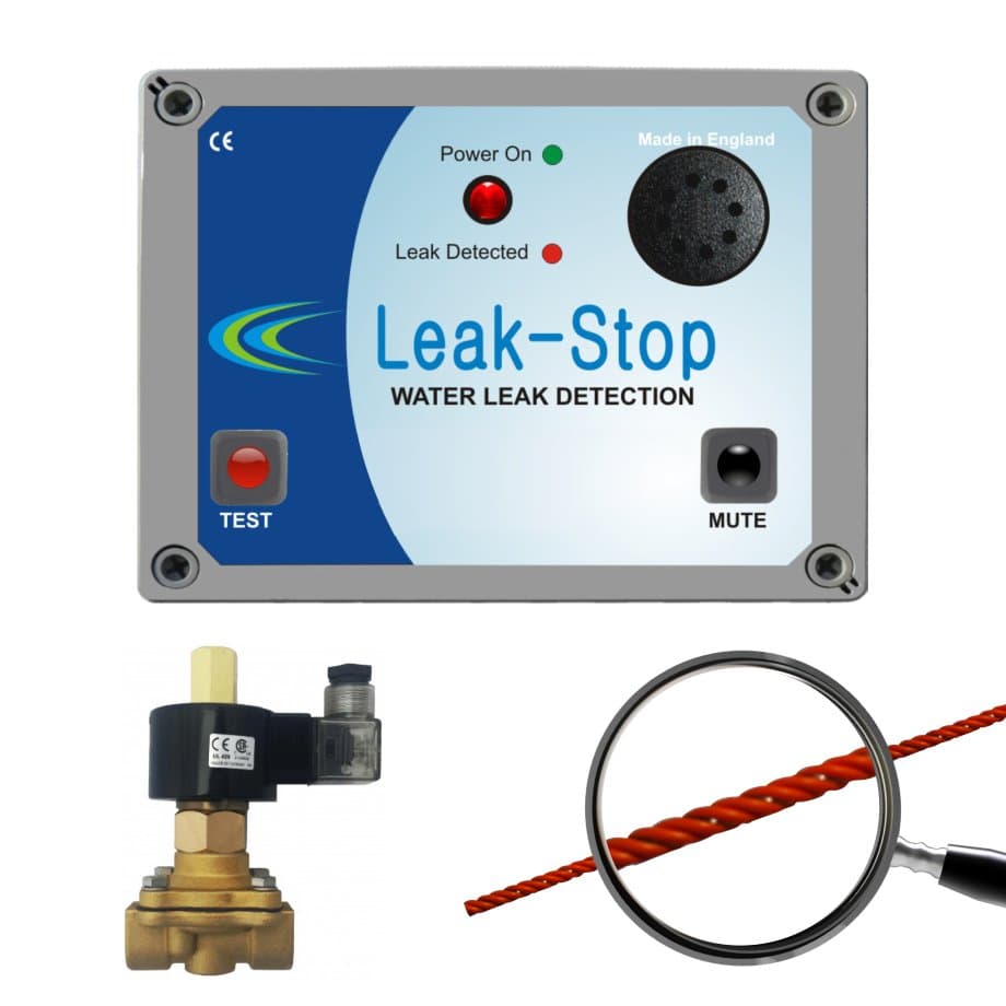 Fast and Accurate Leak Detection Services