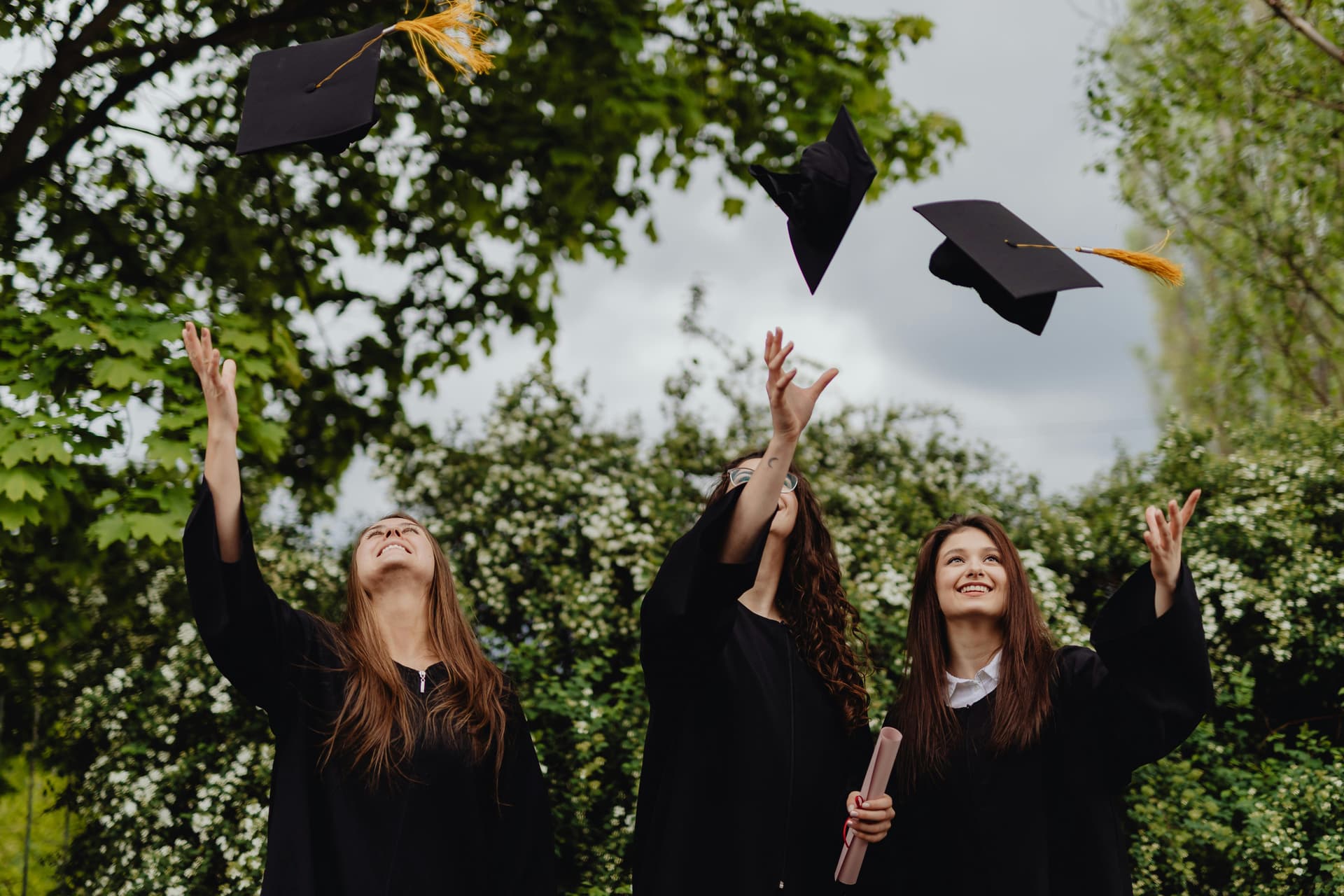 How to Buy a Novelty Diploma That Passes Visual Checks