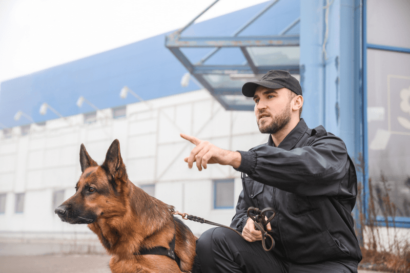 Security Dog Services Newcastle upon Tyne – Professional K9 Protection