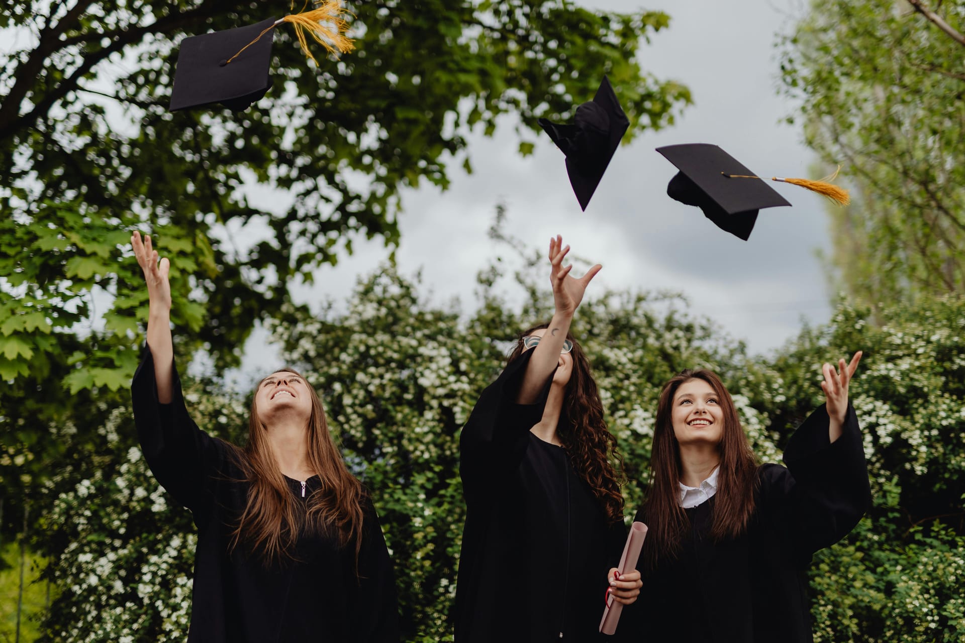 How to Buy a Novelty Diploma That Passes Visual Checks