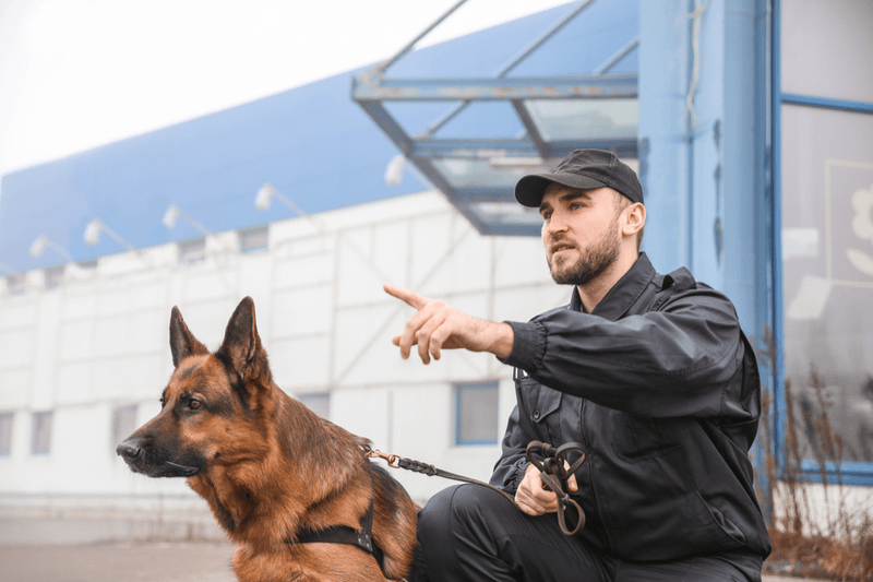 Security Dog Services Newcastle upon Tyne – Professional K9 Protection