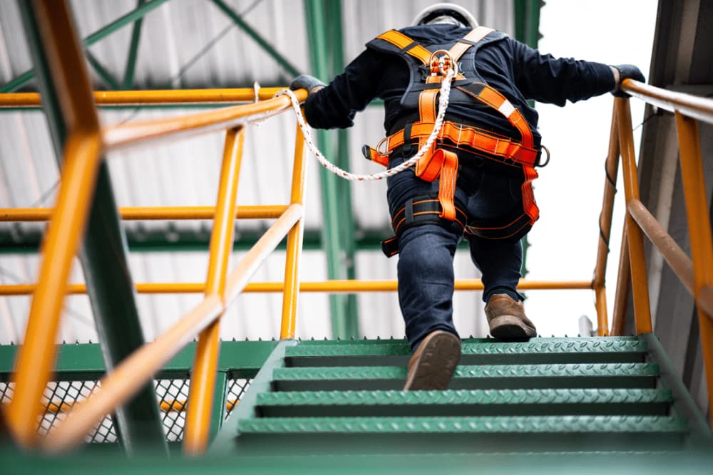 How a New York City Construction Manager Ensures Successful Project Delivery