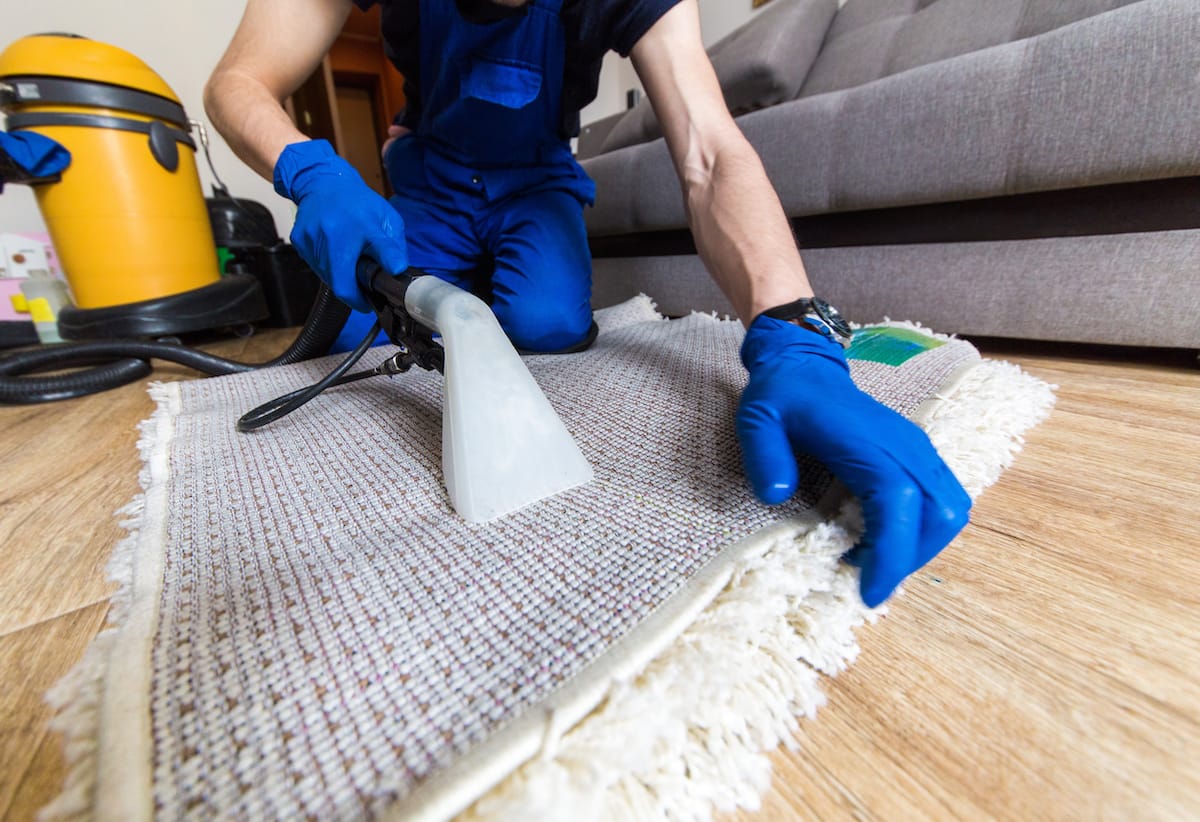 Carpet Cleaning Specials from Guardian Carpet Cleaning