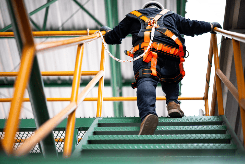 How a New York City Construction Manager Ensures Successful Project Delivery