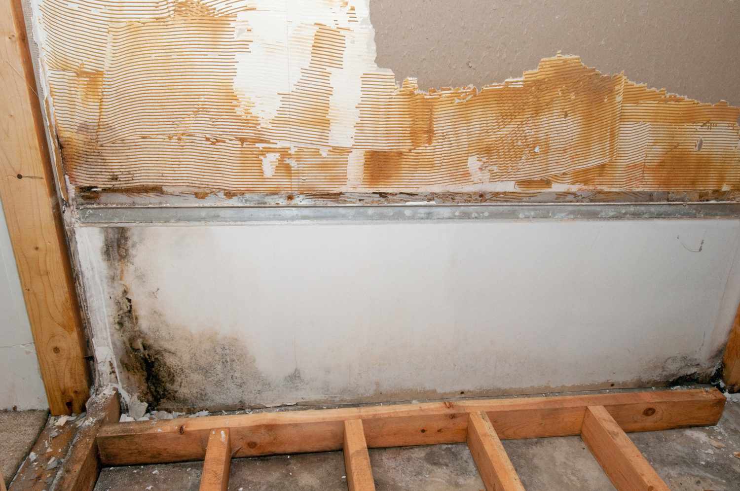 Top Restoration Specialists Providing mold remediation leander tx
