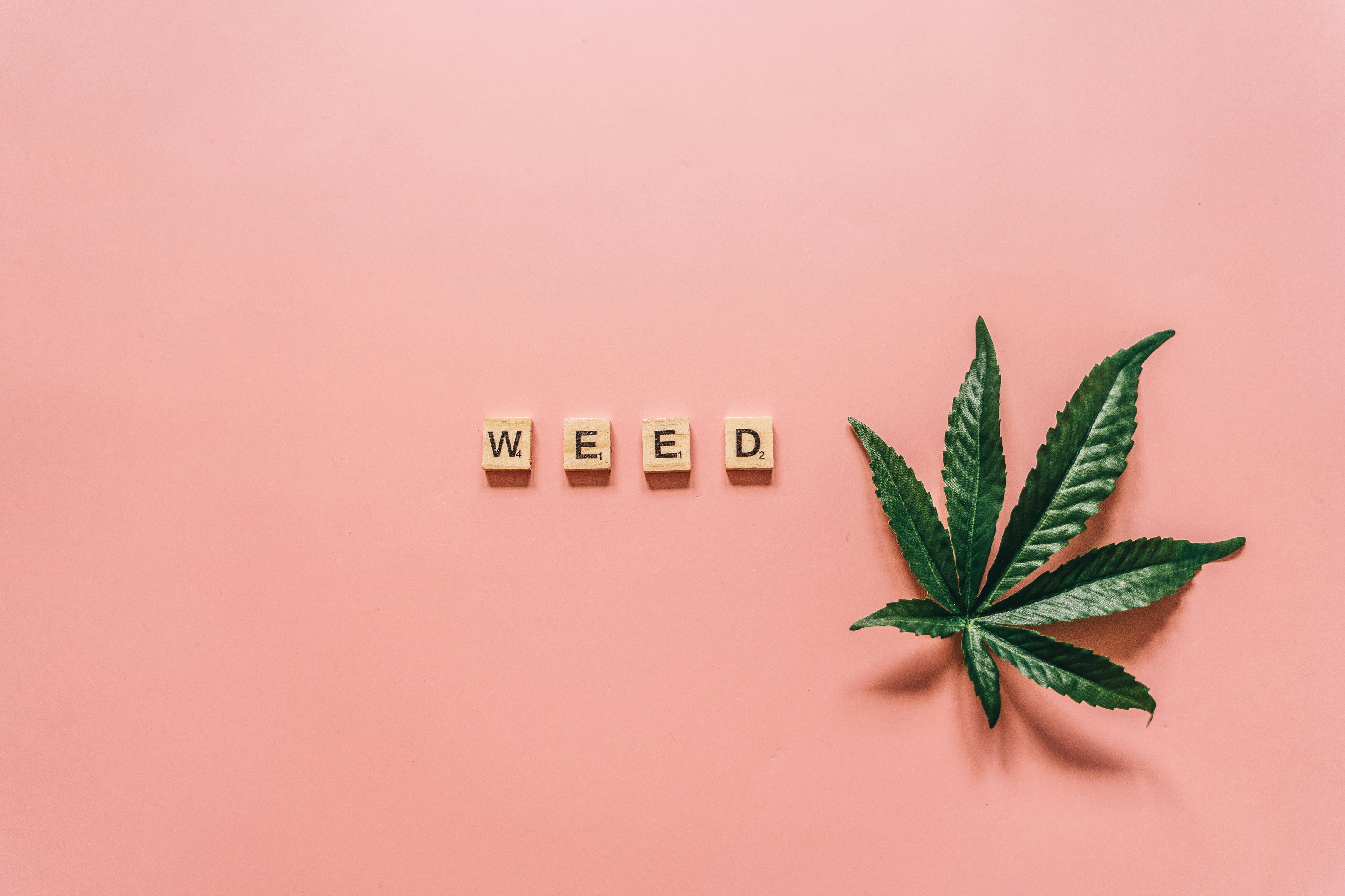 NAVIGATING LEGAL CANNABIS MARKETS RESPONSIBLY