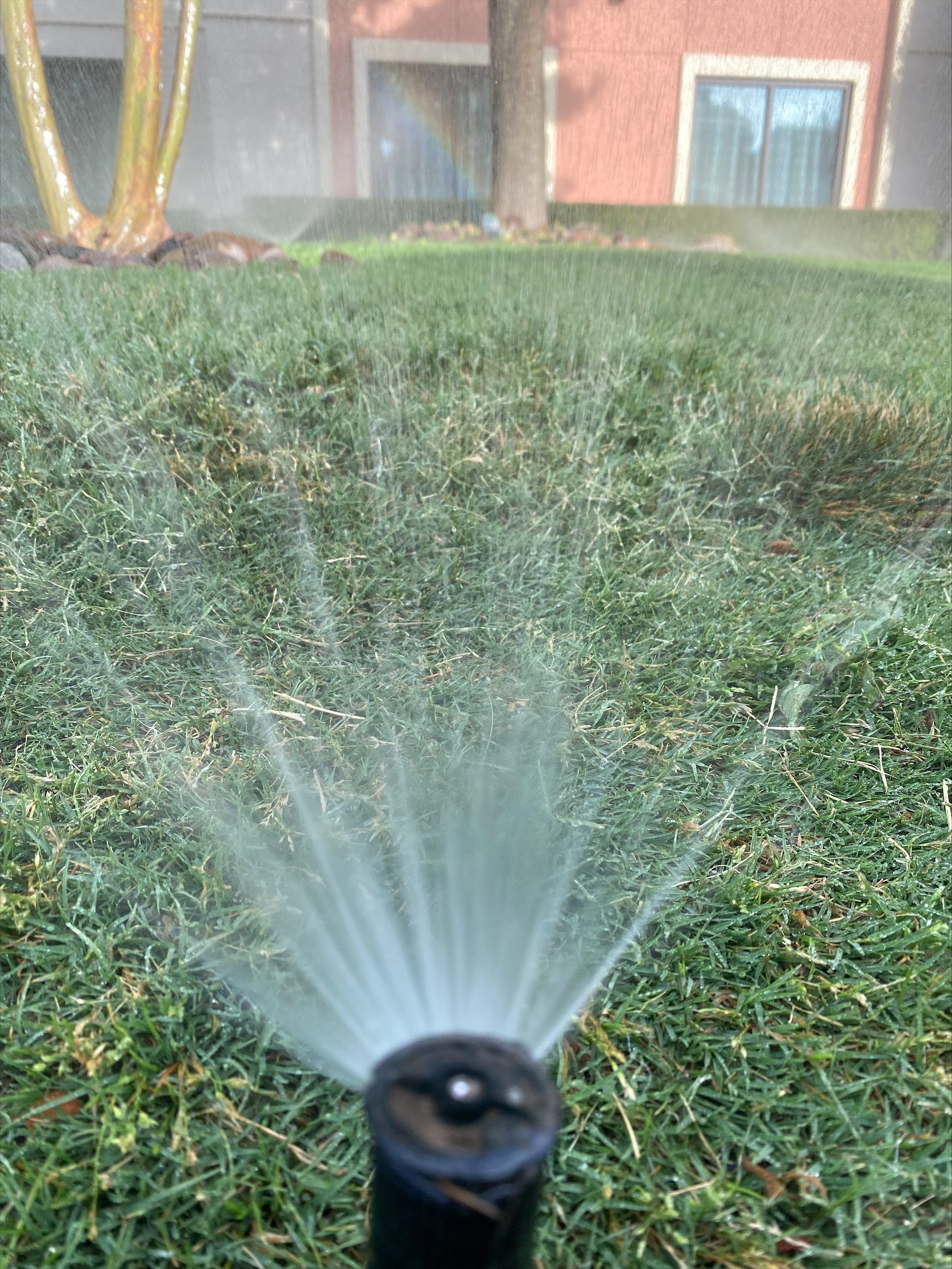 Efficient Professional Irrigation Services in Hudson Oaks, TX for Year-Round Beauty